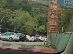 -鲤鱼塘农家山庄