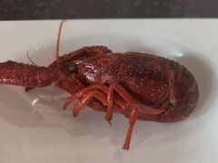 -周姑娘不等味·牛羊肉火锅·螃蟹罗氏虾·烤鱼烤串(高邮店)