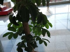 -中国海洋大学（崂山校区）-图书馆