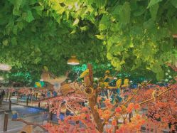 -酷嗒动物文化乐园(cutezoo西溪乐天城店)