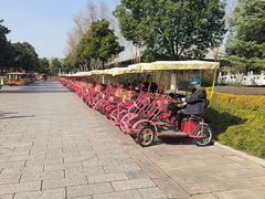 -横店圆明新园
