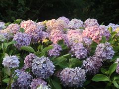 -观山湖公园