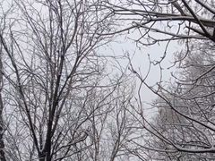 -北陵公园