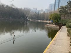 -团结湖公园
