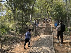 -上海佘山国家森林公园天马山园