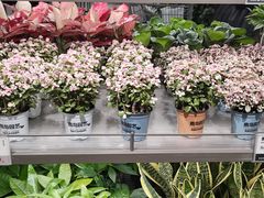 -鹿岛生活(熙地港店)