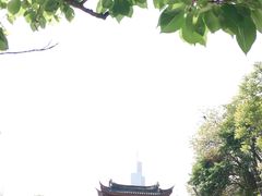 -鸡鸣赐茶(鸡鸣寺路店)