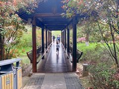 -苏州太湖国家湿地公园