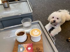 -本無咖啡·BeanWood Coffee