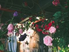 -范设计花园餐酒咖·中西餐·咖啡厅·酒馆