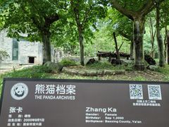 -都江堰中华大熊猫苑