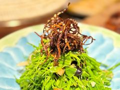 -花菇朵·云山雀 ll 野生菌火锅·精品云南菜(万柳店)