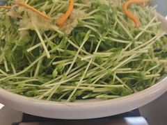 -后湖小院·乡野田园菜