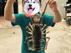 -班赞海鲜市场