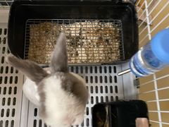 -小意思咖啡店(草桥店)