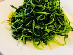 葱油鸡毛菜-106餐厅(山水文园店)