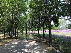 -黄河富景生态世界