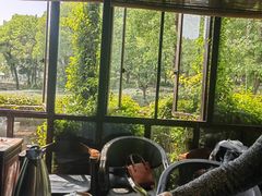 -野蔓果·山野菜(西湖景区·龙井茶田店)