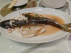 -百乐门喜宴(海珠广场华厦店)