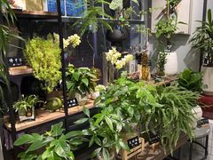 -弗劳尔花艺坊(龙涛店)