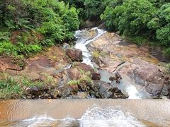 -广州白江湖森林公园