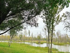 -野鸭湖国家湿地公园