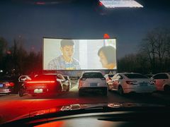 -枫花园汽车电影院(朝阳公园店)