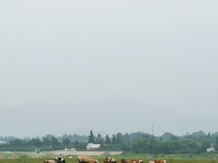 -十三陵水库