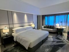 -新加坡乌节希尔顿酒店 (SG Clean)