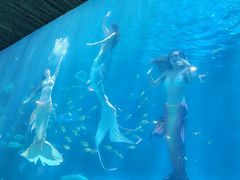 -华夏文旅西安度假区