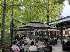 -西安大兴善寺