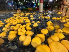 -环球中心海洋乐园