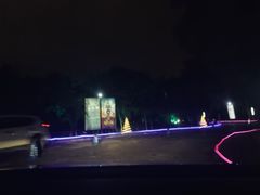 -枫花园汽车电影院(朝阳公园店)