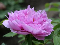 -江南大学(蠡湖校区)