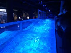 -贝林大翅鲸简餐厅(国家海洋博物馆店)