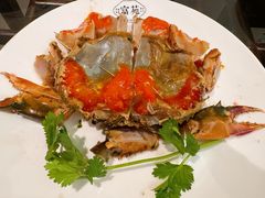 -吴记富苑(朝阳店)