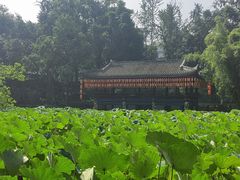 -房湖公园