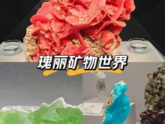 -湖南省地质博物馆