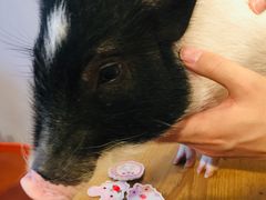 -大润发杨浦店-停车场