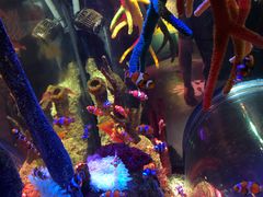 -沈阳海洋探索中心