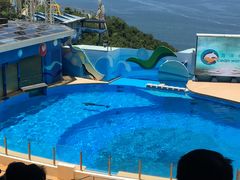 -阿甘虾餐厅(凌霄阁店)