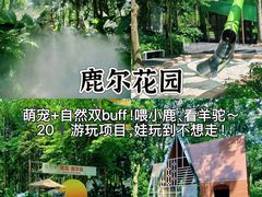 -老鼎万春卤菜(五代传承创始老店)