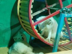 -大连圣亚海洋世界