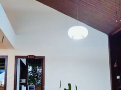 -基诺山寨.版纳民族特色菜