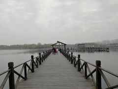 -溱湖国家湿地公园