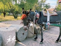 -黄沙古渡原生态旅游区