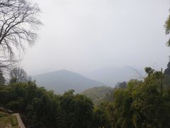 -莫干山风景区