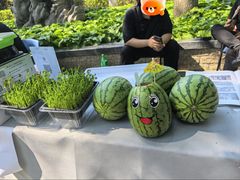 -莲花池公园