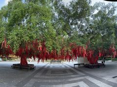 -西双版纳勐泐文化旅游区