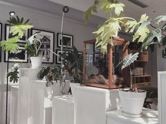 -一尺花园(安和花园店)